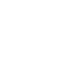 cctv-icon