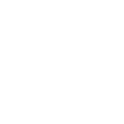 label-icon