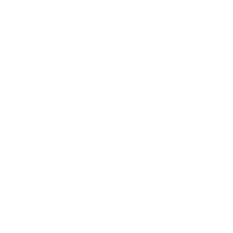 price-icon